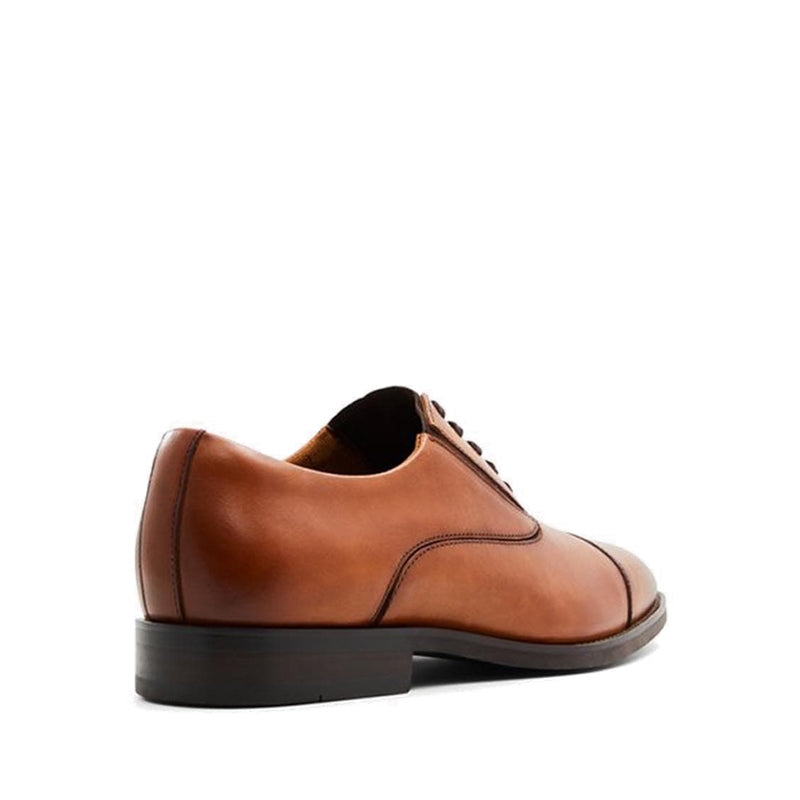 Paxley Men's Lace Ups - Cognac