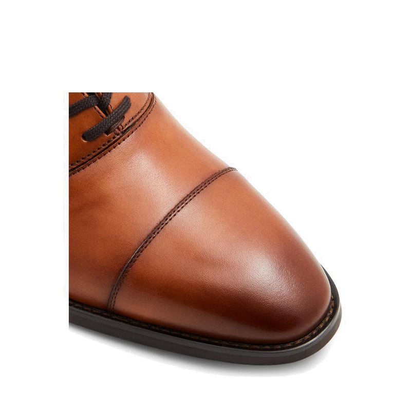 Paxley Men's Lace Ups - Cognac